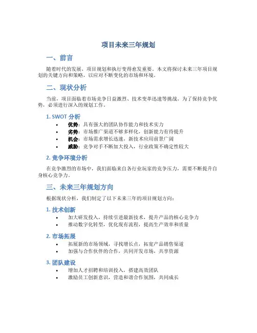 项目未来三年规划
