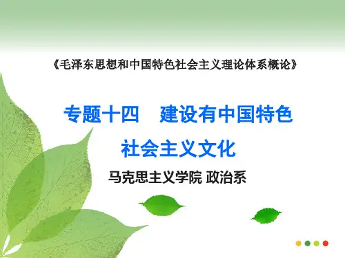 毛概专题十四 建设中国特色社会主义文化