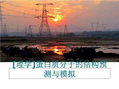 最新[理学]蛋白质分子的结构预测与模拟ppt课件