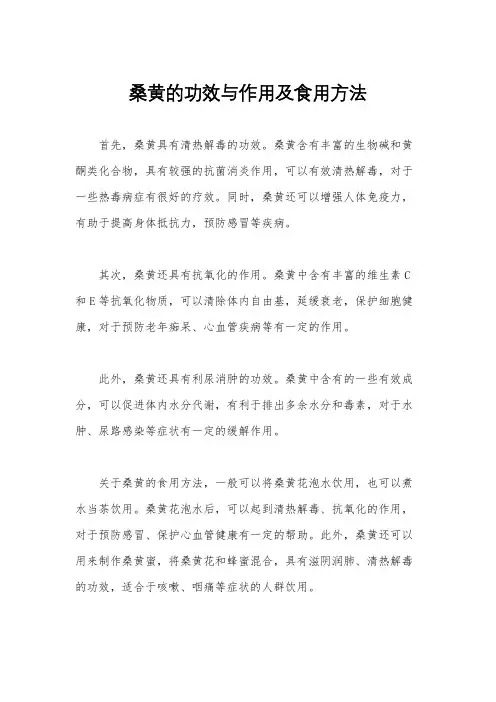 桑黄的功效与作用及食用方法
