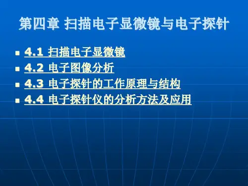 扫描电子显微镜与电子探针
