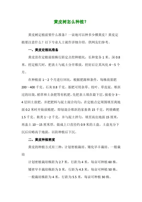 黄皮树怎么种植？