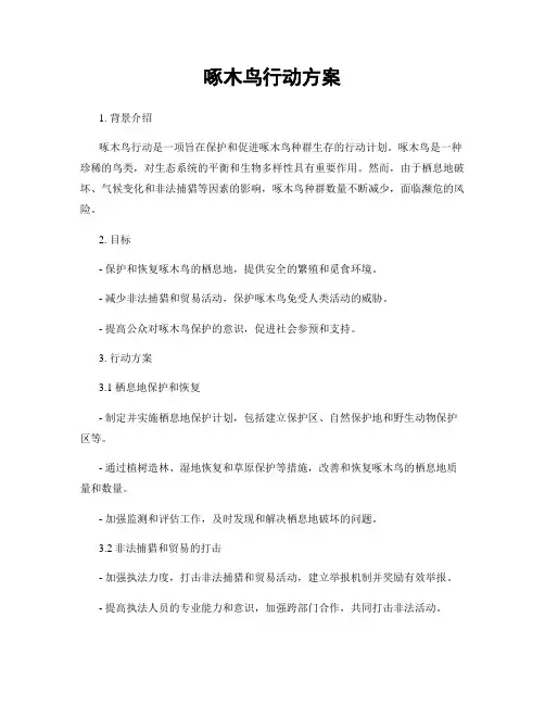 啄木鸟行动方案