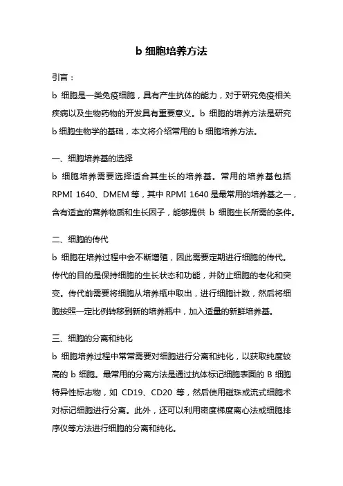 b细胞培养方法