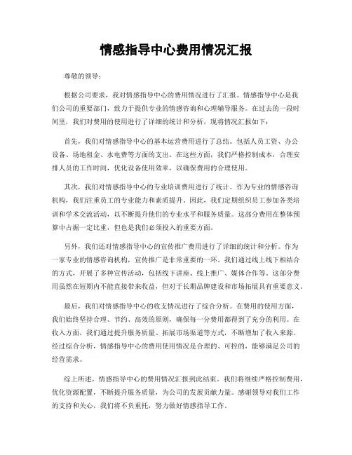 情感指导中心费用情况汇报