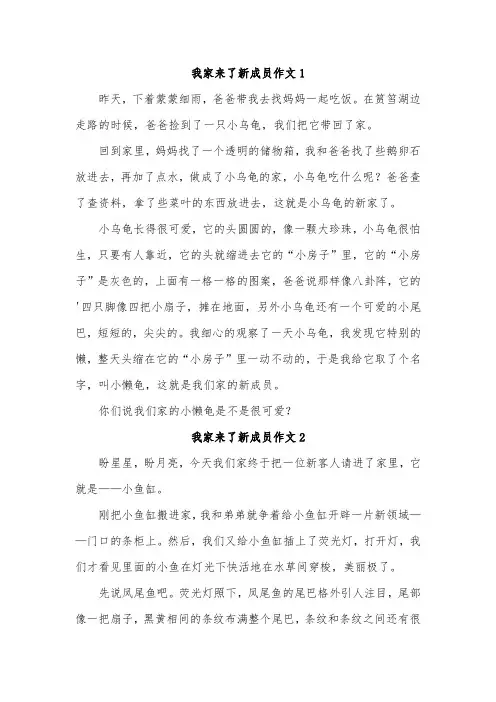 我们家又多了一个新成员,作文
