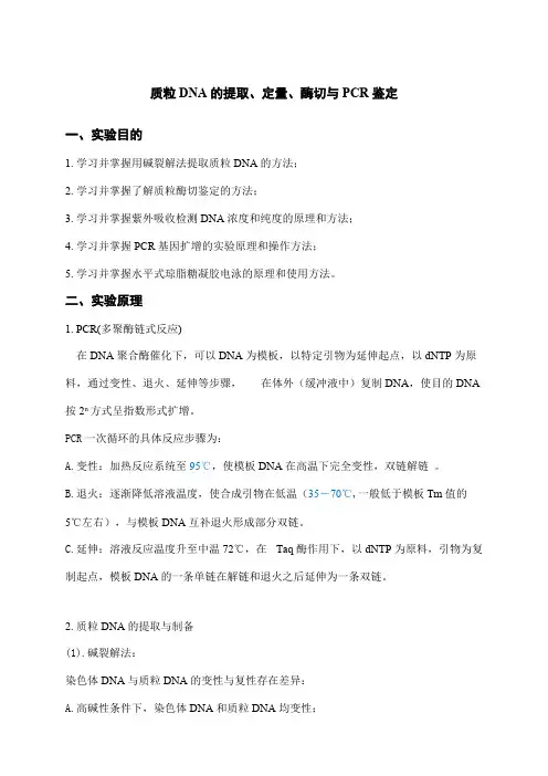 质粒DNA的提取、定量、酶切与PCR鉴定实验报告