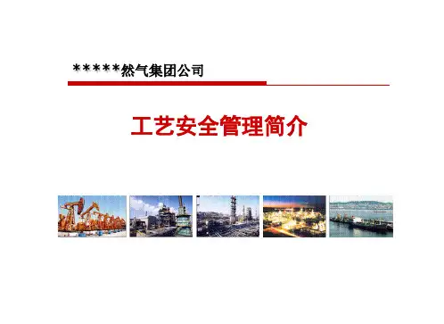 工艺安全管理中石油HSE精华资料(行为安全与工艺安全,工艺安全管理要素介绍,实现工艺安全,118页)