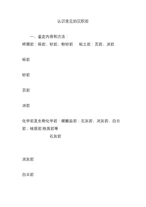认识常见的沉积岩