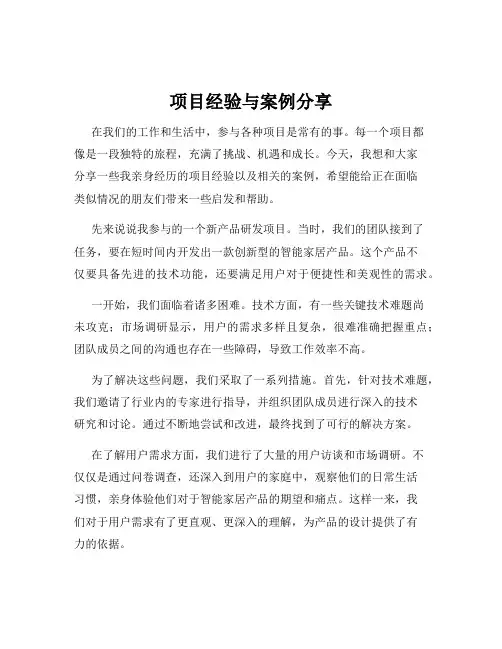 项目经验与案例分享