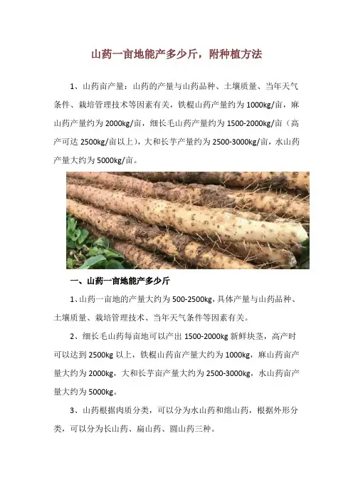 山药一亩地能产多少斤,附种植方法