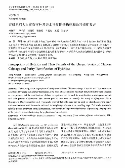 青研系列大白菜杂交种及亲本指纹图谱构建和杂种纯度鉴定