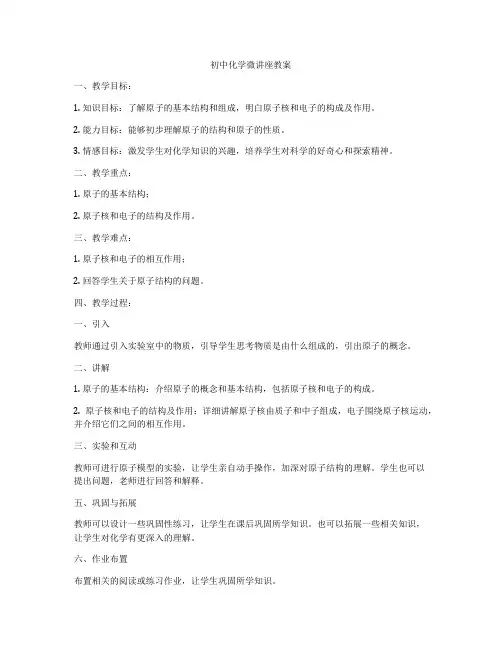 初中化学微讲座教案