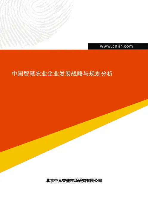 中国智慧农业企业发展战略与规划分析