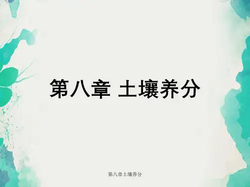 第八章土壤养分
