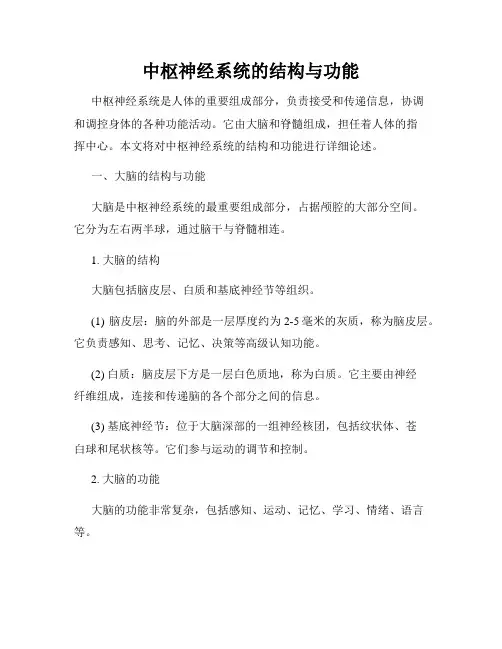 中枢神经系统的结构与功能