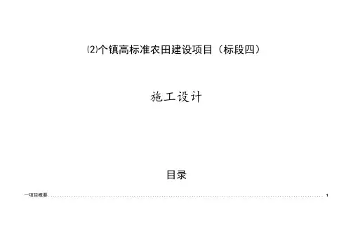 个镇高标准农田建设项目(标段四)施工设计说明
