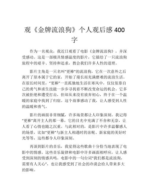 观《金牌流浪狗》个人观后感400字