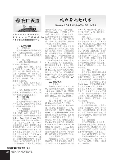 杭白菊栽培技术