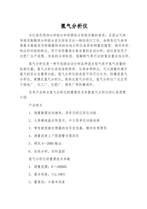 氢气分析仪