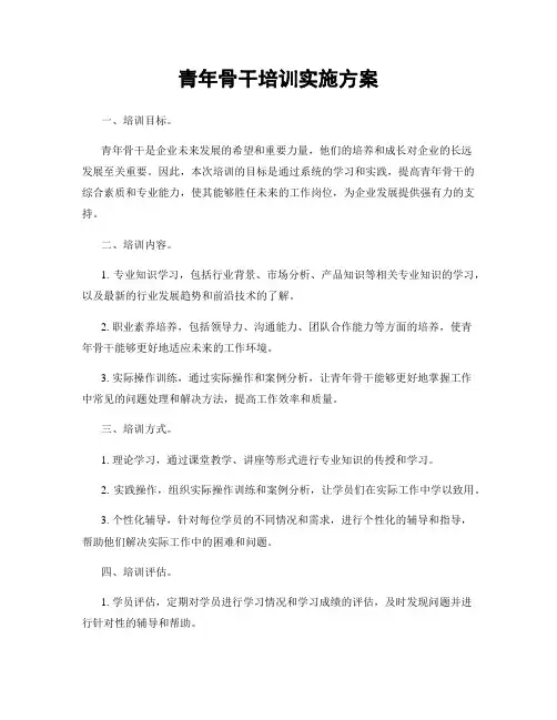 青年骨干培训实施方案