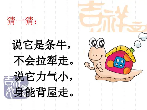 三年级科学上册科学课件-2.2蜗牛(一)｜教科版(共21张PPT)