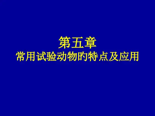 五章节常用实验动物特点及应用