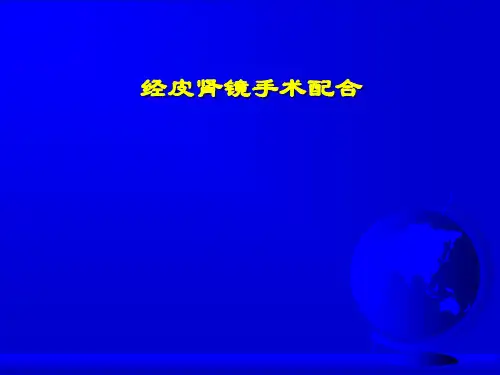 经皮肾镜ppt课件