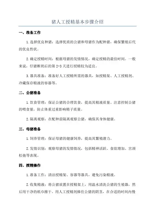 猪人工授精基本步骤介绍