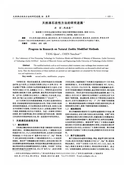 天然沸石改性方法的研究进展_汤泉