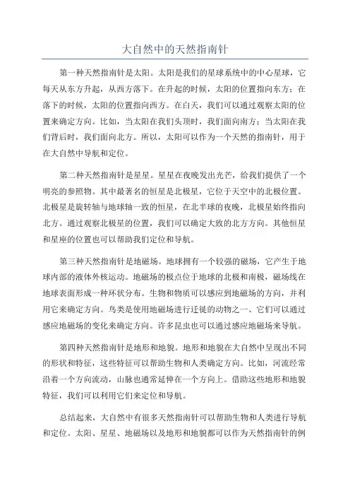 大自然中的天然指南针