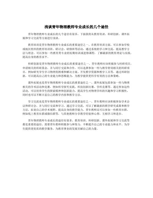 浅谈青年物理教师专业成长的几个途径