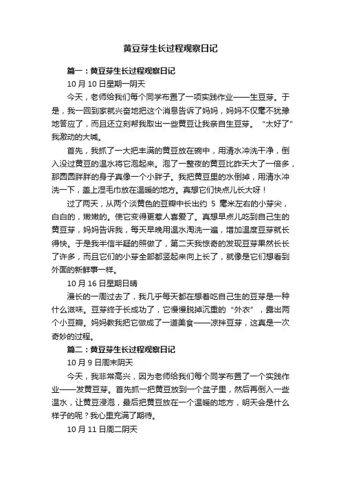 黄豆芽生长过程观察日记