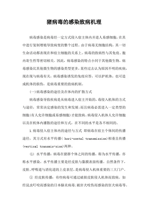 猪病毒感染致病机理