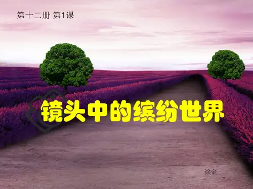 小学六年级美术下册课件：1 镜头中的缤纷世界
