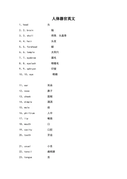 人体器官英文