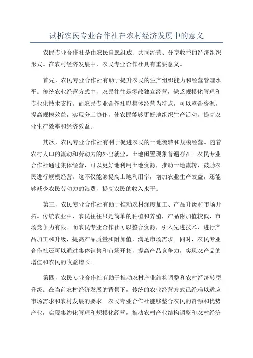 试析农民专业合作社在农村经济发展中的意义