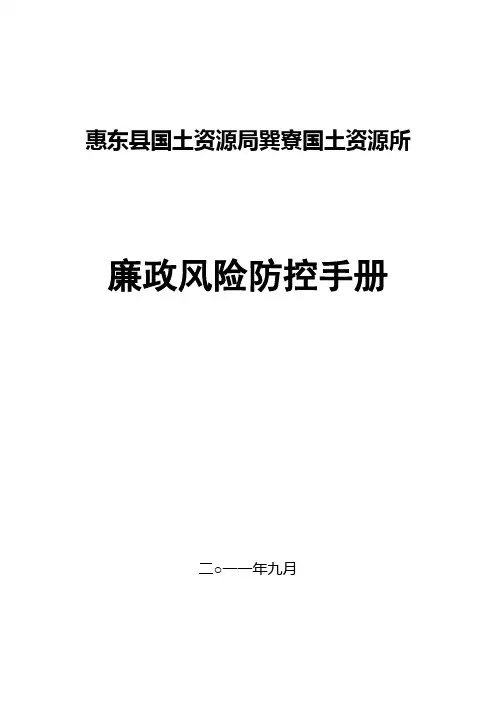 廉政风险防控手册 精品