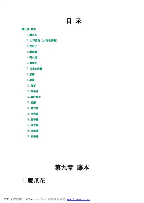 南方常见植物-藤本