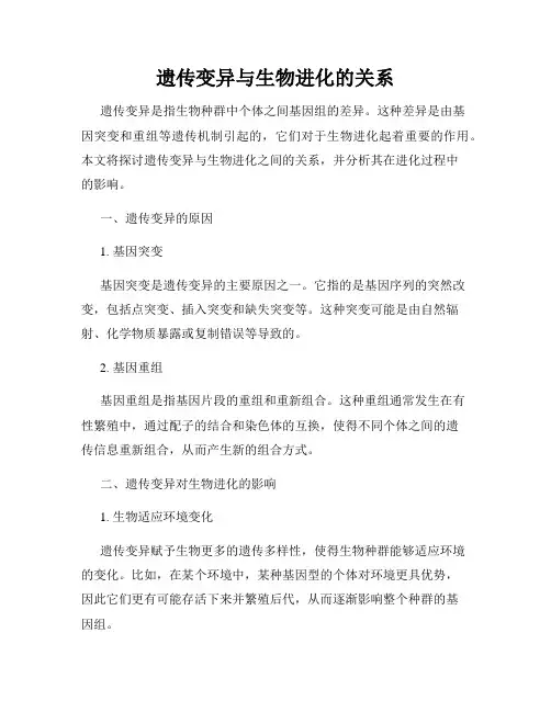 遗传变异与生物进化的关系