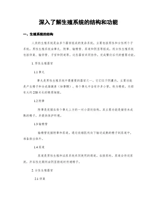 深入了解生殖系统的结构和功能
