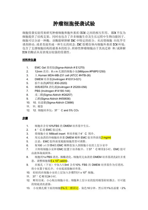transwell 实验步骤