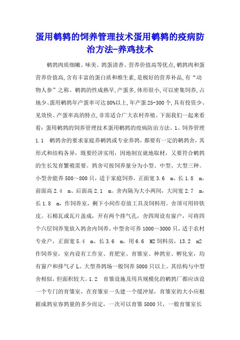 蛋用鹌鹑的饲养管理技术 蛋用鹌鹑的疫病防治方法 - 养鸡技术