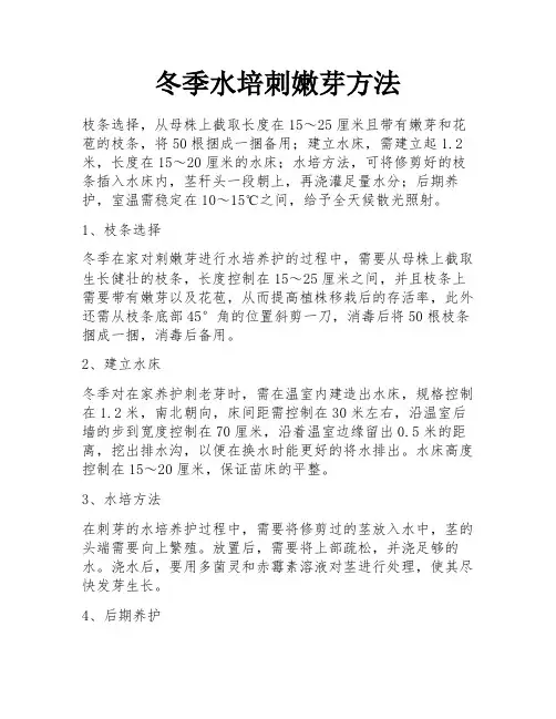 冬季水培刺嫩芽方法