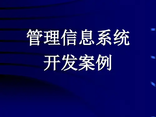 管理信息系统开发案例PPT课件