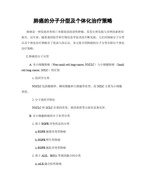 肺癌的分子分型及个体化治疗策略