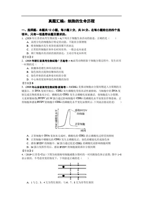 细胞的生命历程(高考生物一轮复习