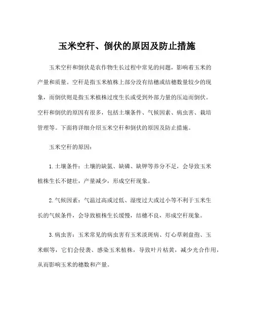 玉米空秆、倒伏的原因及防止措施