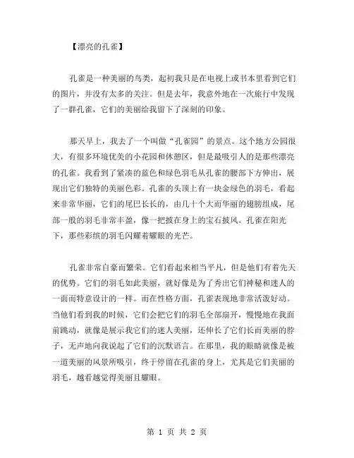 漂亮的孔雀作文范文