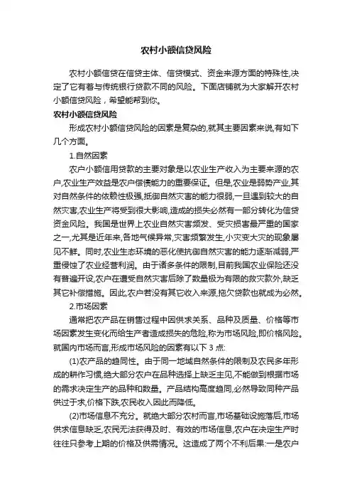 农村小额信贷风险